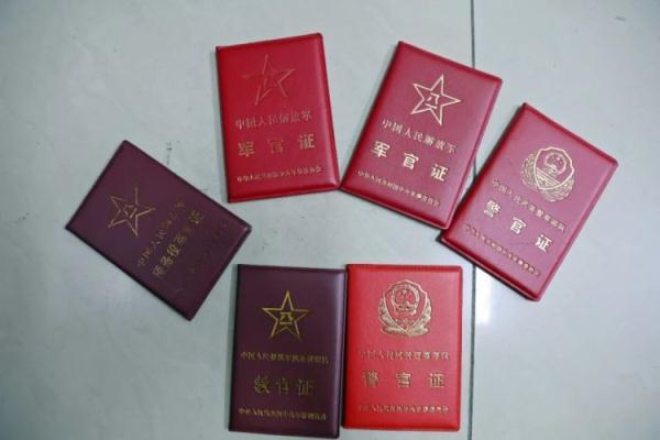 天9国际电脑版